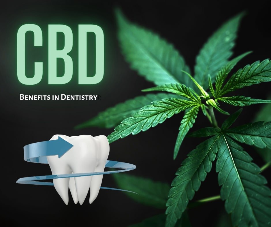 Exploring the benefits of CBD in oral health.