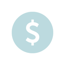 dollar sign icon